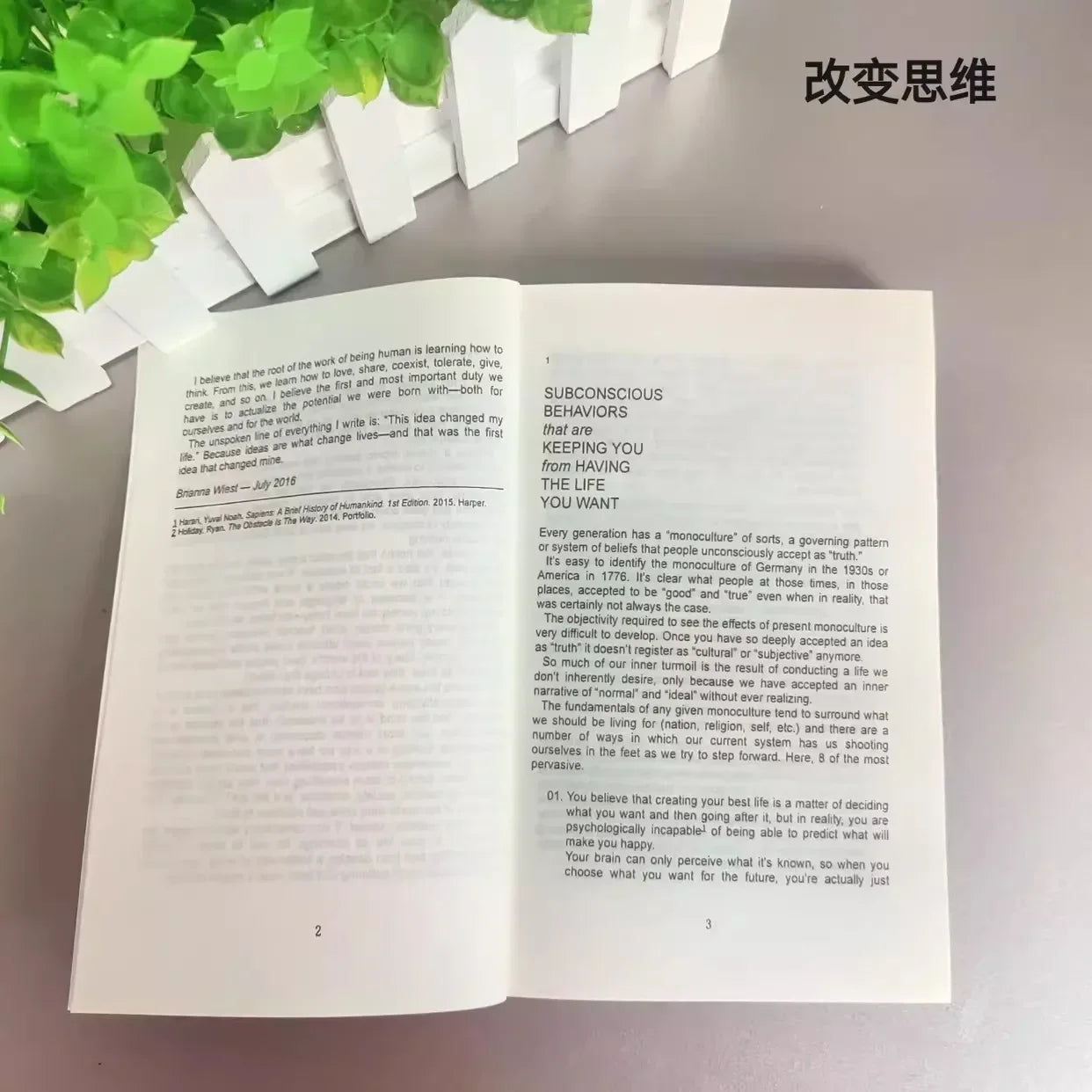 101 Essays That Will Change The Way You Think – Paperback English Book by Brianna Wiest - Aussies Aura